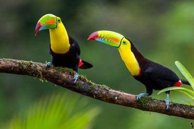 shutterstock_1675391407